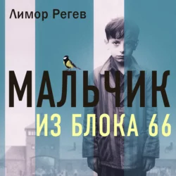 Мальчик из Блока 66. Реальная история ребенка  пережившего Аушвиц и Бухенвальд Лимор Регев