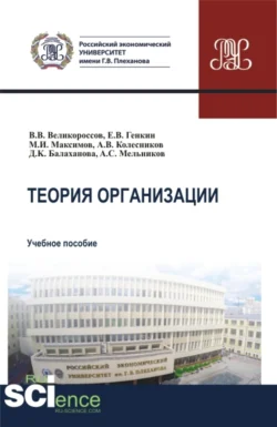 Теория организации. (Бакалавриат, Магистратура). Учебное пособие., Александр Мельников