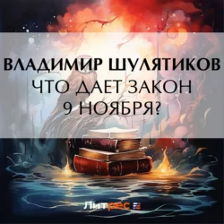 Что дает закон 9 ноября?, Владимир Шулятиков