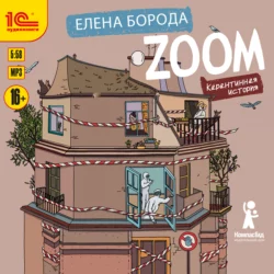 Zoom. Карантинная история, Елена Борода