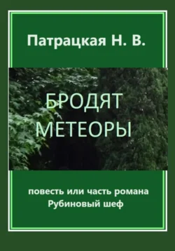 Бродят метеоры, Патрацкая Н.В.