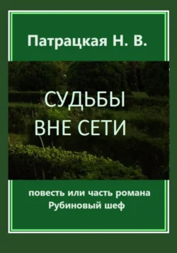 Судьбы вне сети, Патрацкая Н.В.