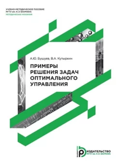 Примеры решения задач оптимального управления А. Бушуев и Александр Бушуев