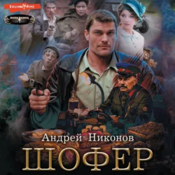 Шофёр, Андрей Никонов