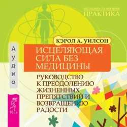 Исцеляющая сила без медицины. Руководство к преодолению жизненных препятствий и возвращению радости Кэрол Уилсон