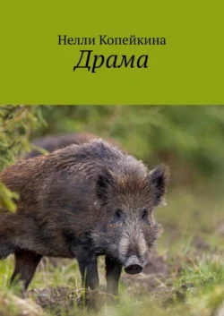 Драма, Нелли Копейкина