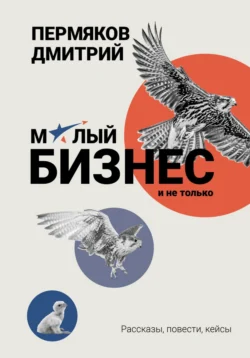 О бизнесе на примерах. Сборник рассказов, Дмитрий Пермяков