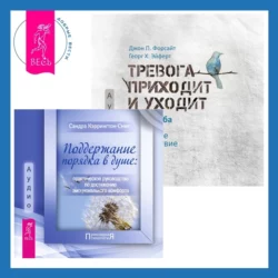 Поддержание порядка в душе: практическое руководство по достижению эмоционального комфорта + Тревога приходит и уходит. 52 способа обрести душевное спокойствие Сандра Кэррингтон-Смит и Джон Форсайт