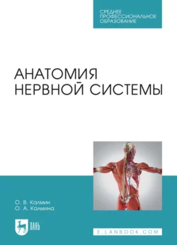 Анатомия нервной системы. Учебное пособие для СПО, Олег Калмин