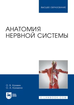 Анатомия нервной системы. Учебное пособие для вузов Олег Калмин и Ольга Калмина