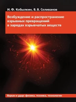 Возбуждение и распространение взрывных превращений в зарядах взрывчатых веществ Иван Кобылкин и Виктор Селиванов