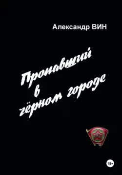 Пропавший в чёрном городе, Александр ВИН