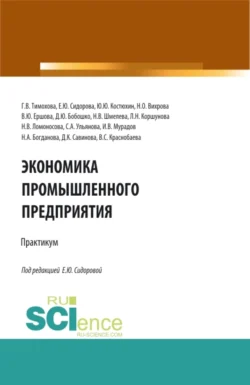 Экономика промышленного предприятия: Практикум. (Бакалавриат). Учебное пособие. Надежда Шмелева и Юрий Костюхин