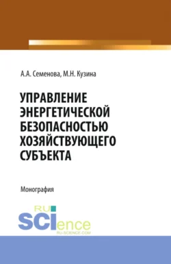 Управление энергетической безопасностью хозяйствующего субъекта. (Бакалавриат, Магистратура). Учебно-методическое пособие., Маргарита Кузина