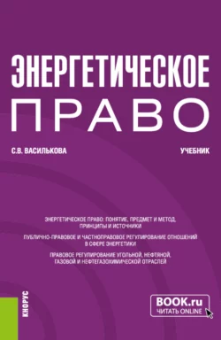 Энергетическое право. (Бакалавриат). Учебник., Светлана Василькова