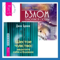 Шестое чувство: защитите себя и близких. Взлом техногенной системы, Вадим Зеланд