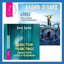 Шестое чувство: защитите себя и близких + кЛИБЕ. Конец иллюзии стадной безопасности, Вадим Зеланд