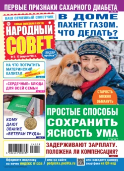 Народный совет 08 2024 