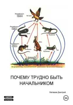 Почему трудно быть начальником, Дмитрий Матвеев