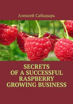 Secrets of a successful raspberry growing business, Алексей Сабадырь