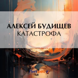 Катастрофа, Алексей Будищев