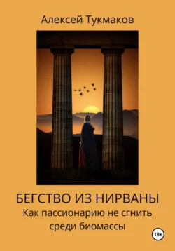 Бегство из нирваны: Как пассионарию не сгнить среди биомассы Алексей Тукмаков