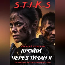 S-T-I-K-S. Пройти через туман II, Алексей Елисеев