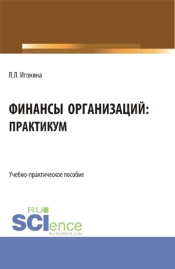 Финансы организаций: практикум. (Бакалавриат). Учебно-практическое пособие., Людмила Игонина