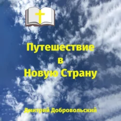 Путешествие в Новую Страну, Дмитрий Добровольский