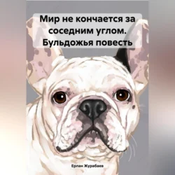 Мир не кончается за соседним углом. Бульдожья повесть Ерлан Журабаев