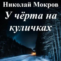 У чёрта на куличках, Николай Мокров