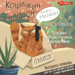 Кошичкин тилипон. Правдиви истори о котиках и их никчемни. Экспресс-помощь для тех, кто застрял в рутине и ищет вдохновение, Зоя Арефьева