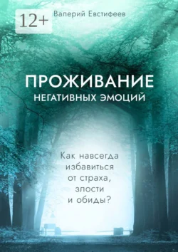 Проживание негативных эмоций. Как навсегда избавиться от страха, злости и обиды?, Валерий Евстифеев