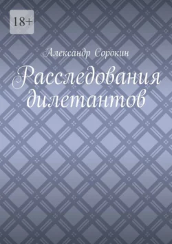 Расследования дилетантов, Александр Сорокин