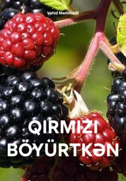 QIRMIZI BÖYÜRTKƏN, Vahid Məmmədli