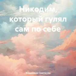 Никодим, который гулял сам по себе, Владимир Сметанин