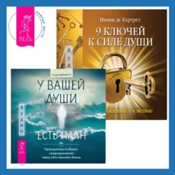 9 ключей к силе души. От заблуждений – к истине + У вашей души есть план. Пробудитесь к своему предназначению через свои Хроники Акаши Никки Картрет и Лиза Барнетт