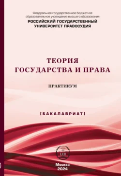 Теория государства и права. Практикум (Бакалавриат), Коллектив авторов