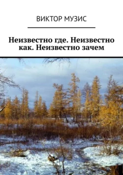 Неизвестно где. Неизвестно как. Неизвестно зачем, Виктор Музис