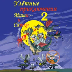 Улётные приключения Миши и Сашки 2, Николай Щекотилов