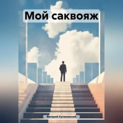 Мой саквояж, Валерий Кулаковский