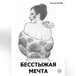 Бесстыжая мечта, Дмитрий Катаев