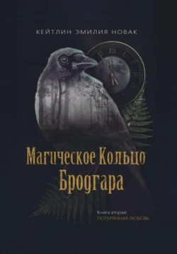 Магическое кольцо Бродрага. Потерянная любовь. Книга 2, Кейтлин Эмилия Новак