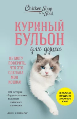 Куриный бульон для души. Не могу поверить, что это сделала моя кошка! 101 история об удивительных выходках любимых питомцев, Джек Кэнфилд