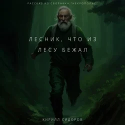 Лесник, что из лесу бежал, Кирилл Сидоров