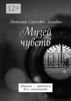 Музей чувств. Тишина – хранитель всех «экспонатов», Виталий Заливин