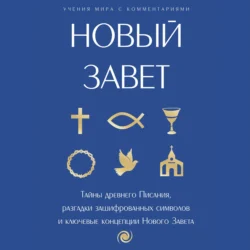 Новый Завет: с пояснениями и комментариями. Тайны Древнего Писания  разгадки зашифрованных символов и ключевые концепции Нового Завета Священное Писание