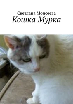 Кошка Мурка Светлана Моисеева