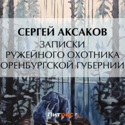 Записки ружейного охотника Оренбургской губернии. Рассказы и воспоминания охотника о разных охотах. Мелкие охотничьи рассказы, Сергей Аксаков