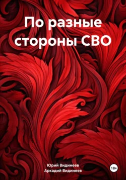 По разные стороны СВО, Юрий Видинеев